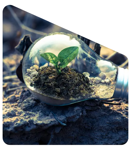 Low Voltage Landscape Lighting Texas