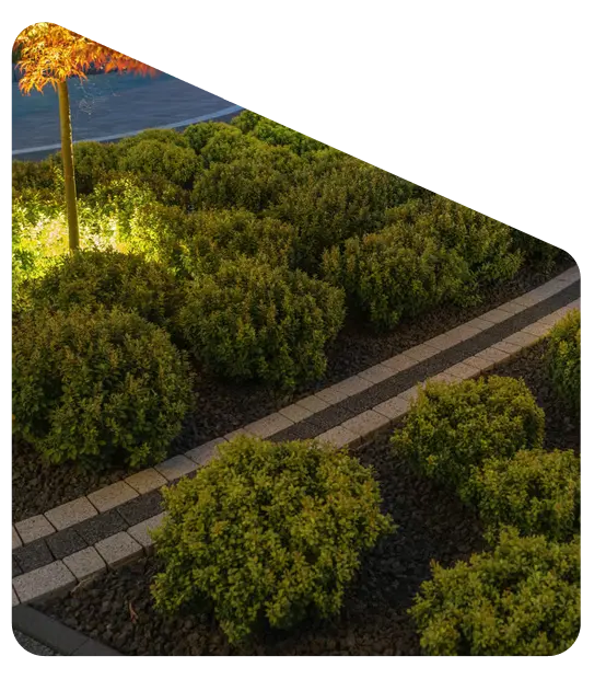 Pathway Lighting Installation Texas